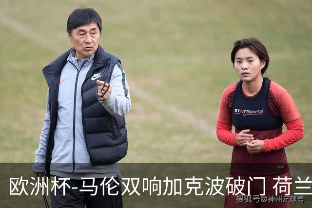 欧洲杯-马伦双响加克波破门 荷兰3-0罗马尼亚