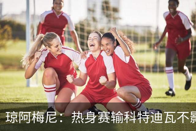 琼阿梅尼：热身赛输科特迪瓦不影响法国，可以说是一次小小的提醒